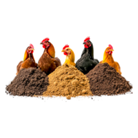 Chickens with Piles of Soil in Vibrant Garden Setting png