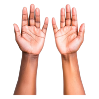 Close-up of Open Hands Showing Different Gestures and Skin Tones png