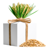 Gift Box with Greenery and Seeds as Symbol of Prosperity and Growth png