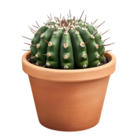 Small round cactus in a terracotta pot with sharp spines symbolizing resilience nature and the enduring charm of desert flora png