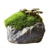 Moss-covered rock with tiny mushrooms sprouting from its surface creating a miniature forest scene full of life png