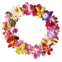 Colorful floral wreath made of fresh tropical flowers arranged in a perfect circle to create a vibrant decorative piece png