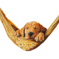 Adorable brown puppy resting in a soft hammock with its eyes closed enjoying a peaceful and cozy nap png
