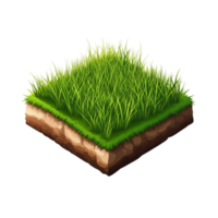 Small patch of green grass with a section of soil visible underneath representing nature and fresh greenery png