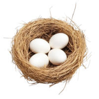 Small bird nest with four smooth white eggs rests delicately on a bed of twigs and straw png