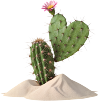 Gorgeous cactus in a bright desert setting. . png