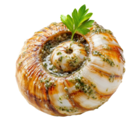 Lifelike presentation of escargot garnished with fresh garlic and herbs png