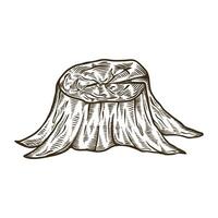 tree trunk illustration design graphic sketch, hand drawn vector