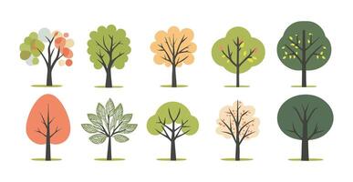 hand drawn tree flat design element collection. botanical set of bare trees and ones with leaves and lush green. element vector