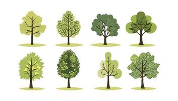 hand drawn tree flat design element collection. botanical set of bare trees and ones with leaves and lush green. vector