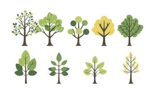 hand drawn tree flat design element collection. botanical set of bare trees and ones with leaves and lush green. design element vector