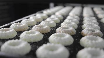 Freshly shaped cookies sprinkled with sugar on a baking tray, Rows of raw cookies with sugar sprinkles arranged on a tray. video