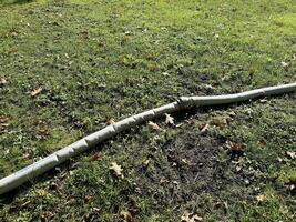 Flexible gray hose on green grass lawn with fallen leaves photo