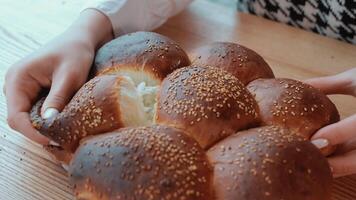 Fresh sesame bread being pulled apart by hands, Close-up of hands separating fresh sesame-topped bread. video