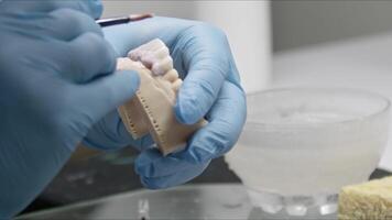 Denture Teeth Imitate the Shape of Natural Teeth by Painting with a Brush Footage. video