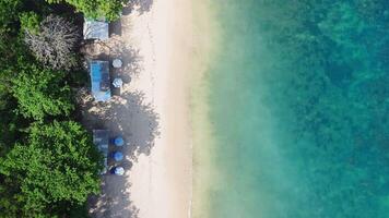 Tropical beach with turquoise ocean, above view. Top down view in Bali video