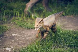 A velociraptor stands against a background of grass. This dinosaur lived at the end of the Cretaceous period. With space to copy photo
