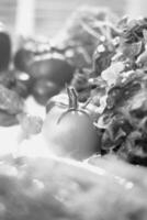 Vibrant Collection of Fresh Plum and Cherry Tomatoes A Staple Ingredient for Natural Dishes photo
