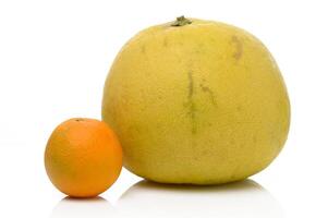 Unique citrus display featuring a large pomelo beside a smaller orange on a clean white background photo