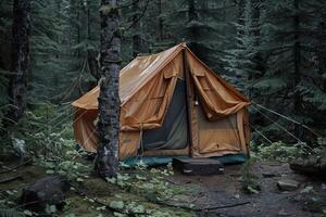 Canvas tent is standing in the middle of a wet forest photo