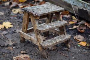 Small wooden step stool sitting on muddy ground in the fall photo