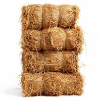 Stack of hay bales tied with string standing isolated on white photo