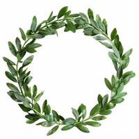 Circular green leaf crown forming empty space on white background photo