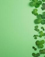 Green shamrocks on green photo