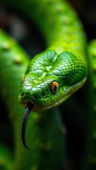 un verde serpiente con sus lengua fuera foto