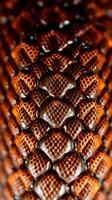 A close up of a snake skin photo