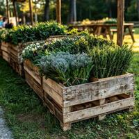 Freshly cut lavender and herbs in rustic wooden crates at a farmers market photo