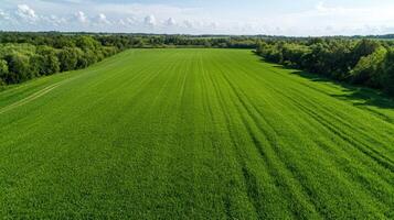 Aerial view of a vast green field bordered by trees under a partly cloudy sky photo