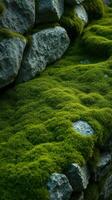 A bench sitting on a moss covered rock wall photo