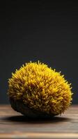 A yellow spiky ball on a wooden table photo