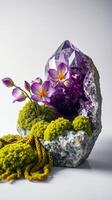 Amethyst crystal and flowers on rock photo