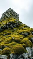 A grass covered tower photo