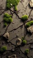 A moss covered rock with a tree growing out of it photo