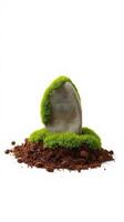 A rock with moss on it sitting on top of dirt photo
