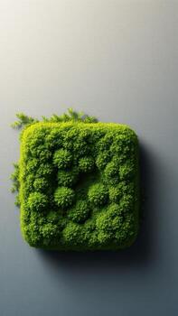 A square of green moss on a gray background photo