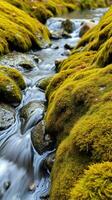 A stream of water flowing through a moss covered rock photo