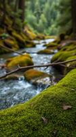A stream of water photo