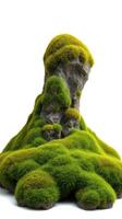 A rock with moss on it sitting on top of a hill photo