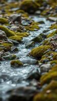 A stream of water flowing through a rocky area photo