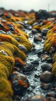 A stream of water flows through a moss covered rock photo