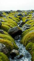 A stream of water running through a field of rocks photo