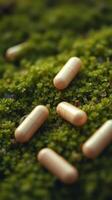 Pills on moss photo