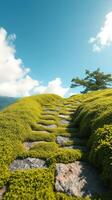 A stone path is on top of a grassy hill photo