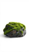 A rock with moss on it sitting on top of a white surface photo