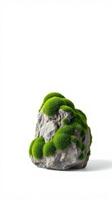 A rock with moss on it is shown photo