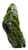 A rock covered in moss on a white background photo